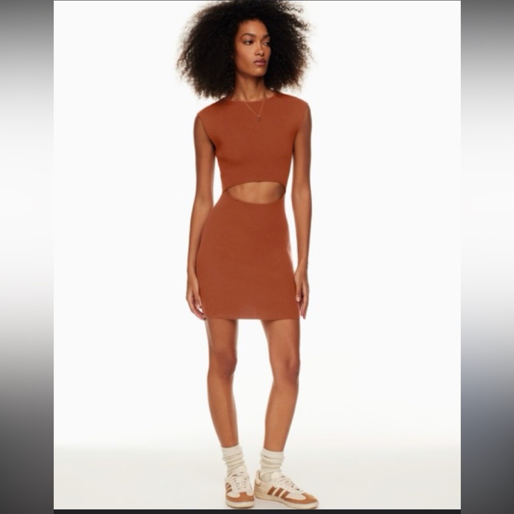 Wilfred Rust Cutout Mini Dress